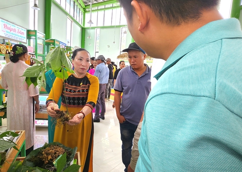 Hiện nay việc quảng cáo, mua bán các sản phẩm sâm Ngọc Linh giả, không rõ nguồn gốc trên mạng xã hội đang diễn biến phức tạp, ảnh hưởng đến hoạt động sản xuất, kinh doanh của người sản xuất chân chính. 